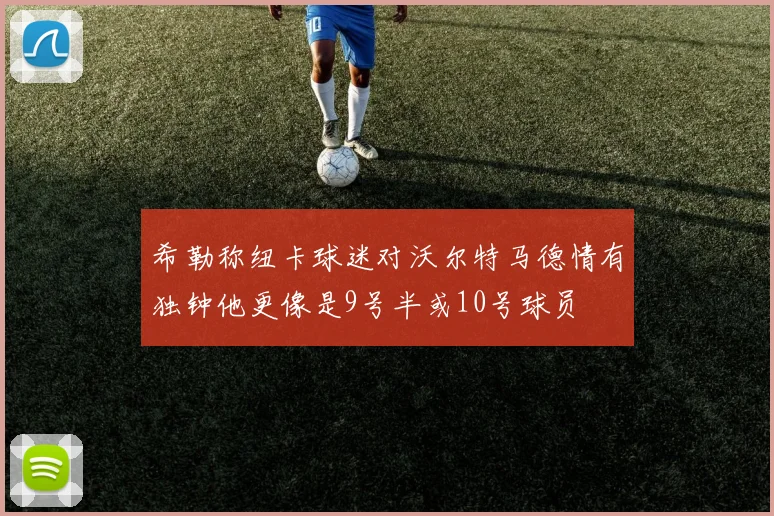 希勒称纽卡球迷对沃尔特马德情有独钟他更像是9号半或10号球员