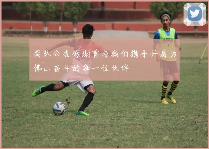 离队公告感谢曾与我们携手并肩为佛山奋斗的每一位伙伴