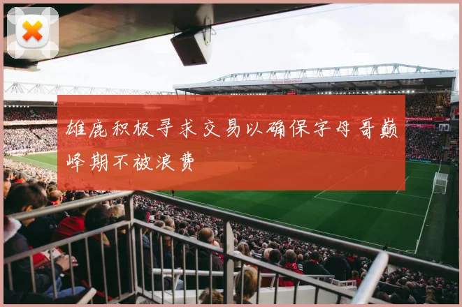 雄鹿积极寻求交易以确保字母哥巅峰期不被浪费