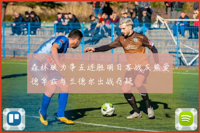 森林狼力争五连胜明日客战灰熊爱德华兹与兰德尔出战存疑