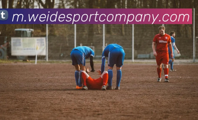 多媒体互动体验