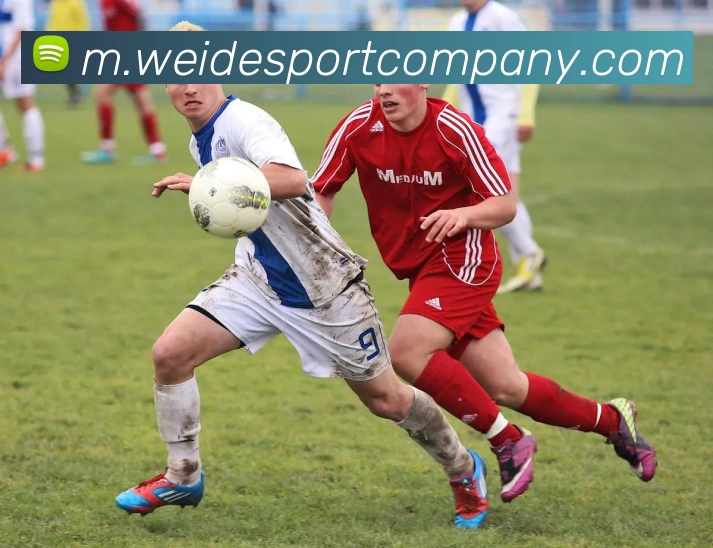 伟德体育APP 高清赛事图